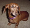 Missy