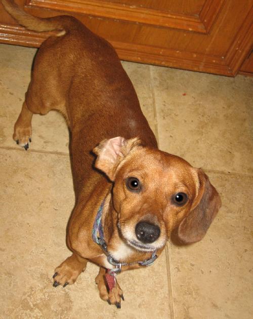 Murphy