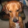 Murphy