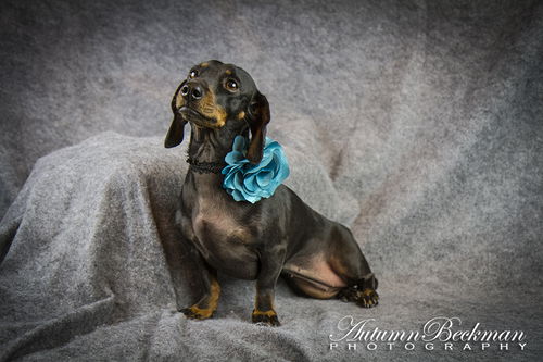 Tina