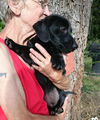 Lola Pup