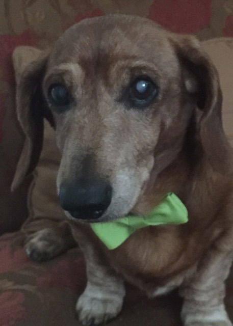 Louie