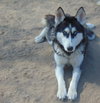 Dottie - Photo 5