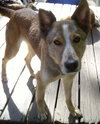 Quila - Photo 1