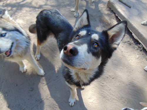Photo of Mochi
