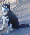 Myra - Photo 5