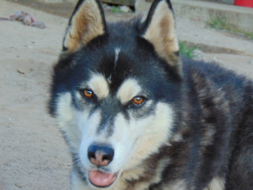 Photo of Fargo
