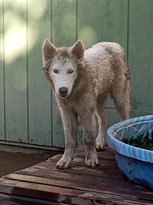 Photo of Whitney