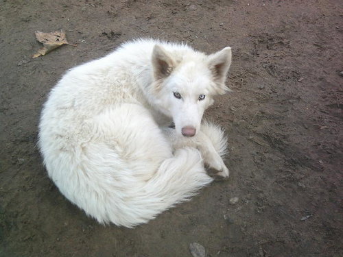 Photo of Whitney
