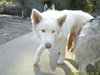 Whitney - Photo 3