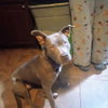 Avery - Photo 6