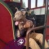 Avery - Photo 8