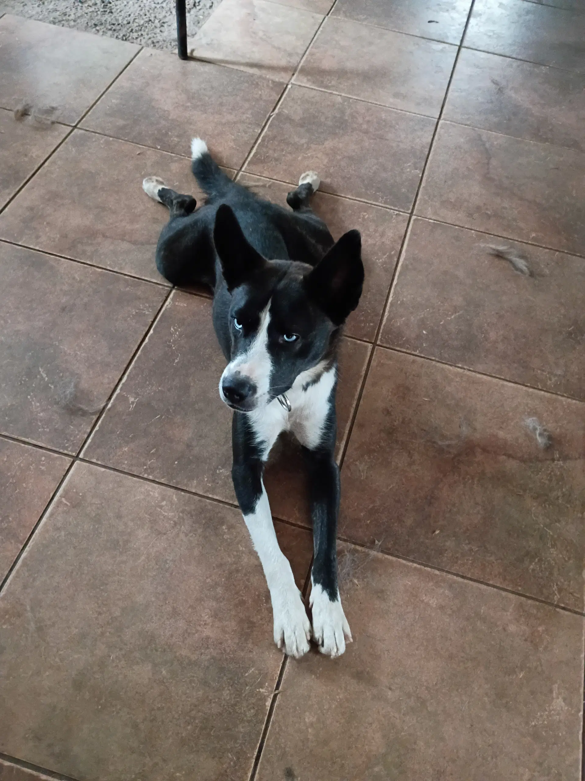 Zoey image 2