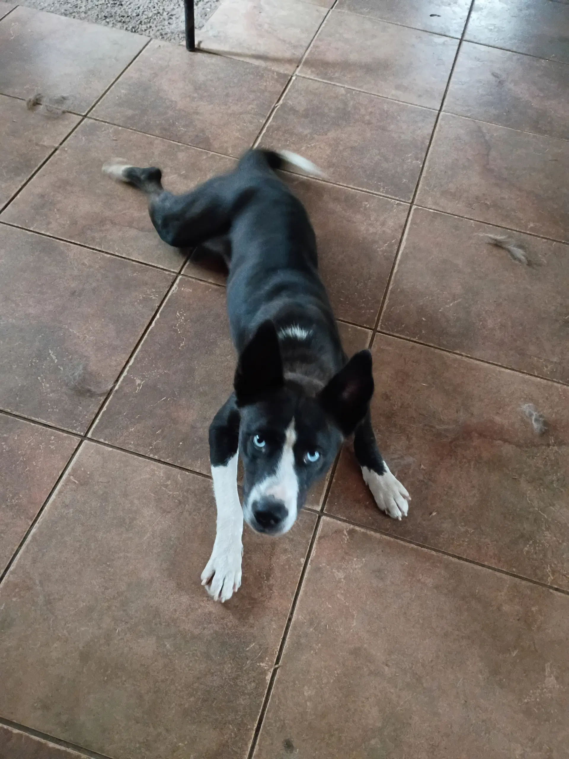 Zoey image 4