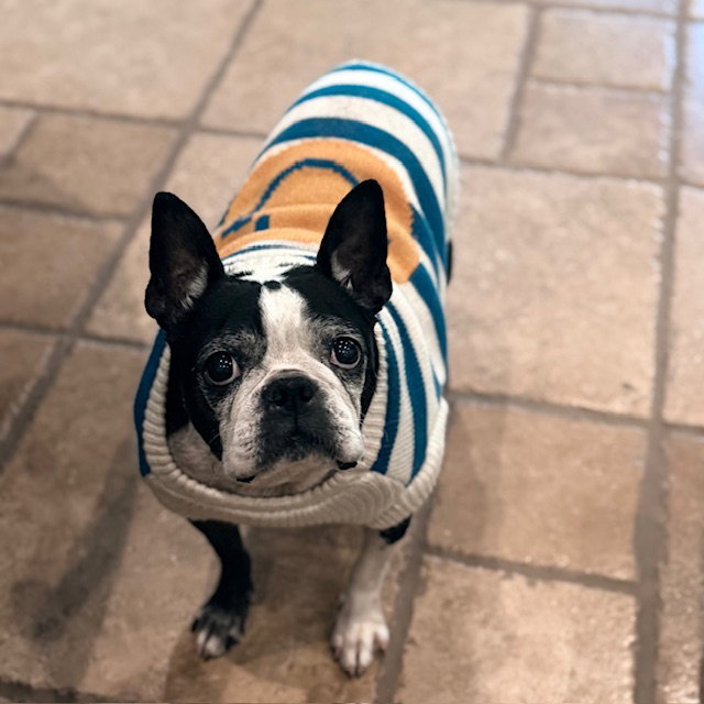 Gus