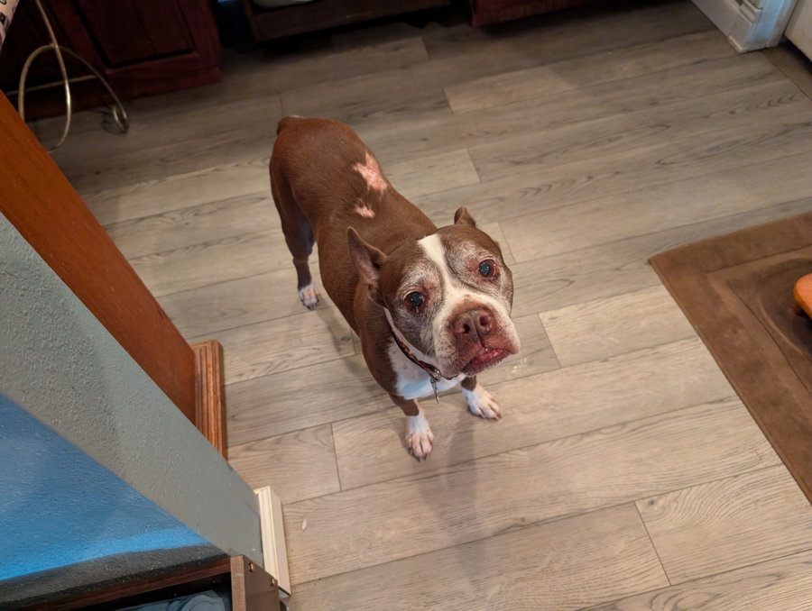 Sir Charles