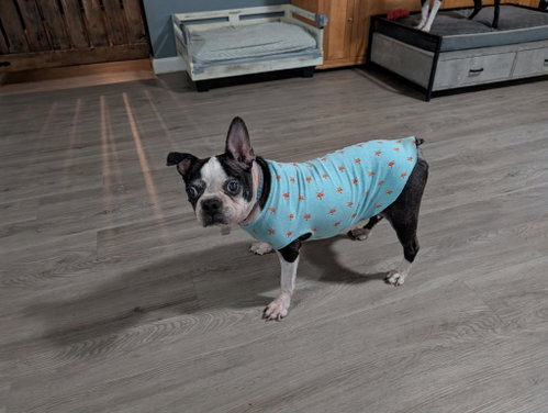 Betsy photo 4