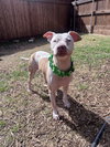 DAISY - Photo 1