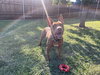 MELO - Photo 1