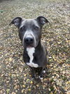 SADIE - Photo 1