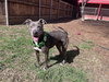 SADIE - Photo 1