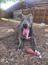 SADIE - Photo 1