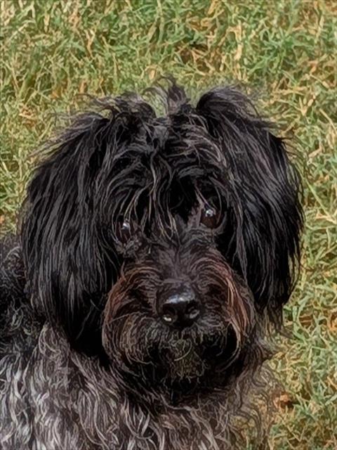 Winnie