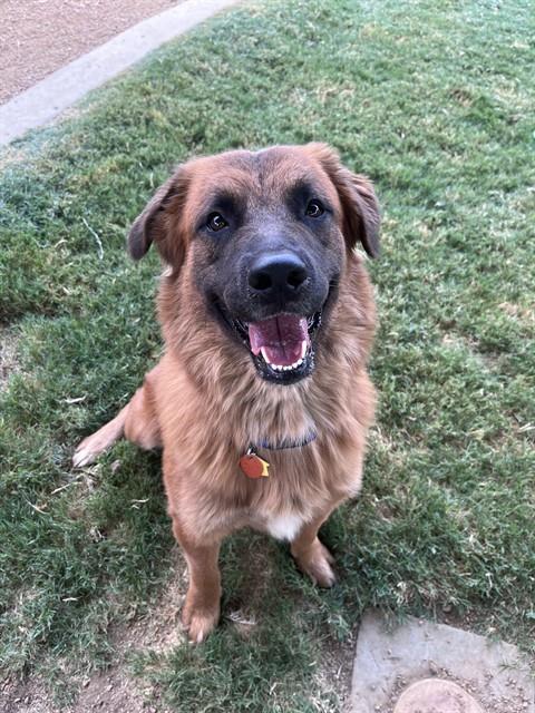Duke