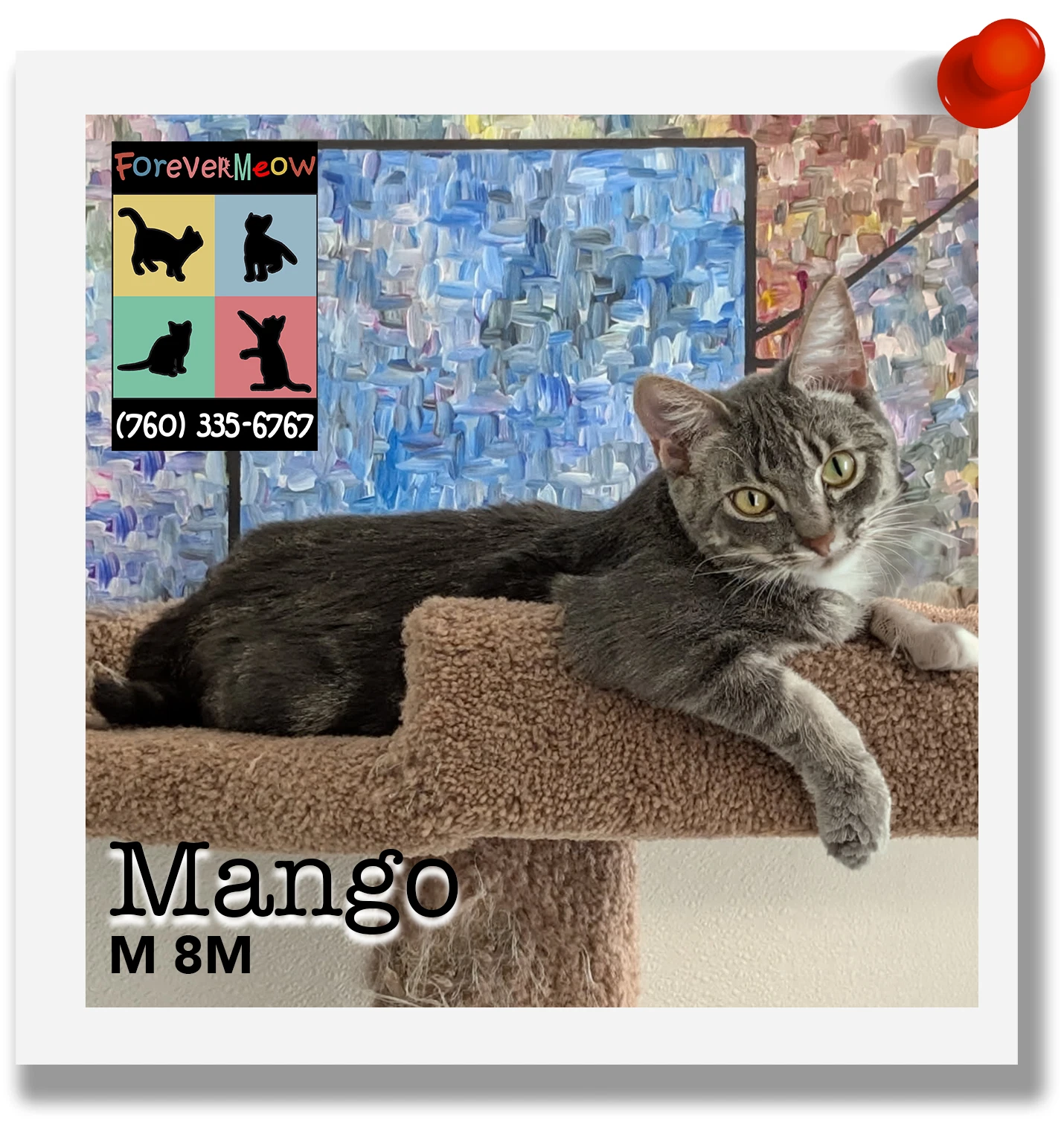 Mango