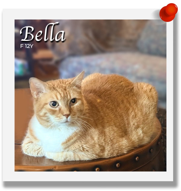 Bella
