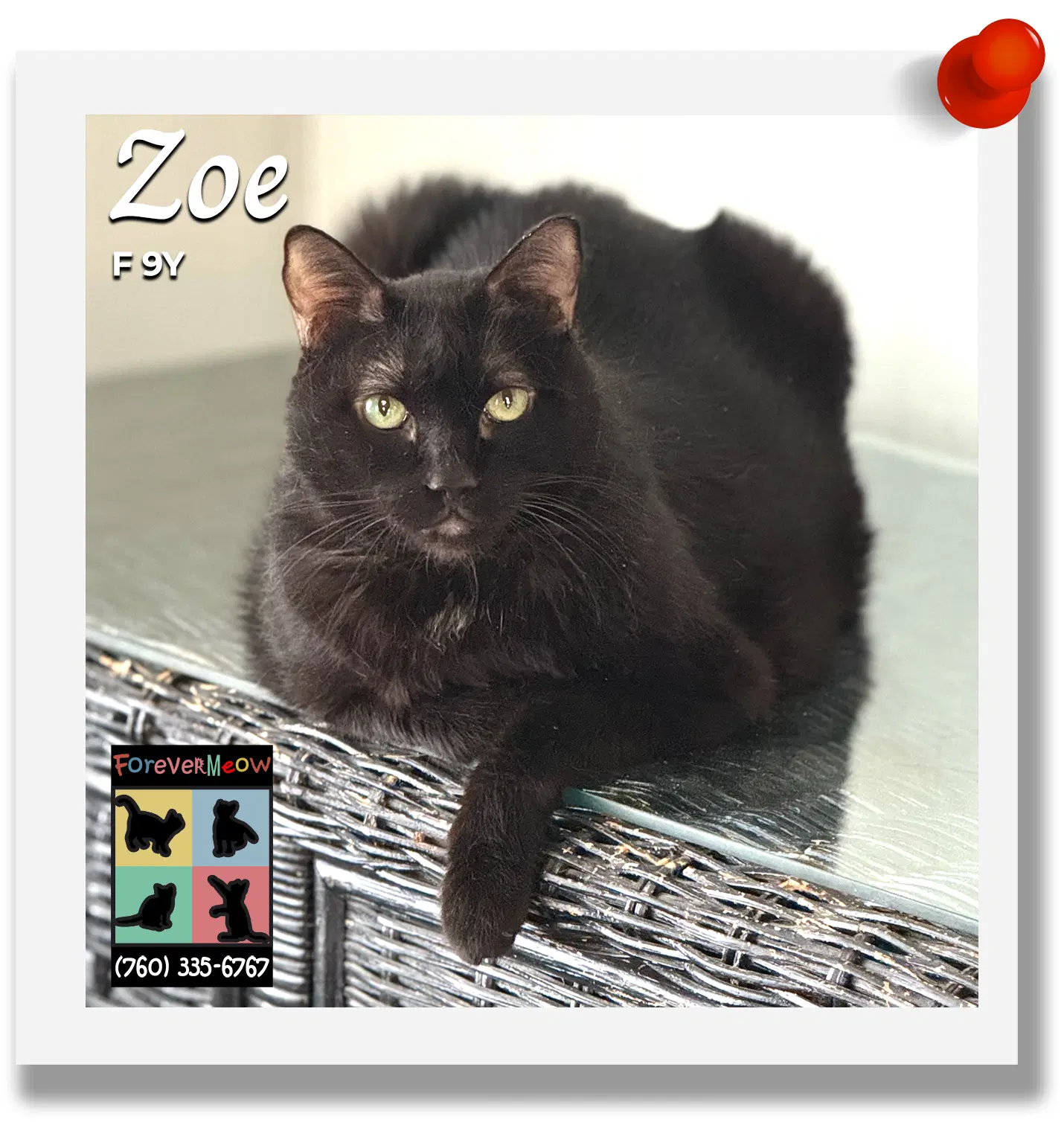 Zoe image 1