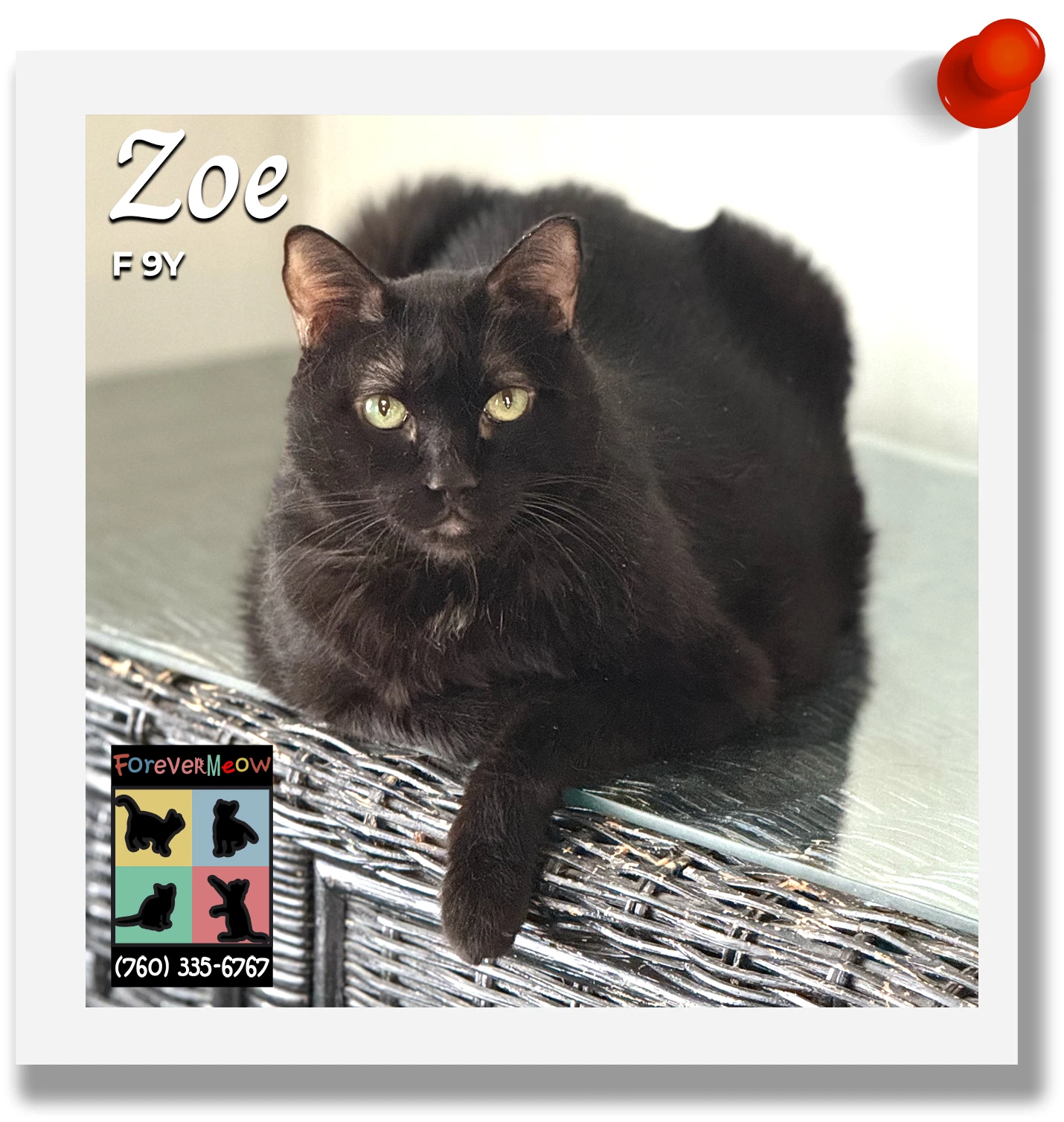 Zoe