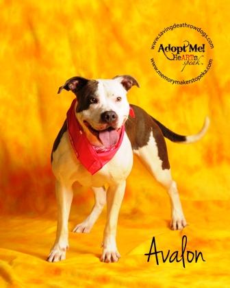Avalon
