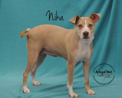 Nika