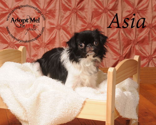 Asia