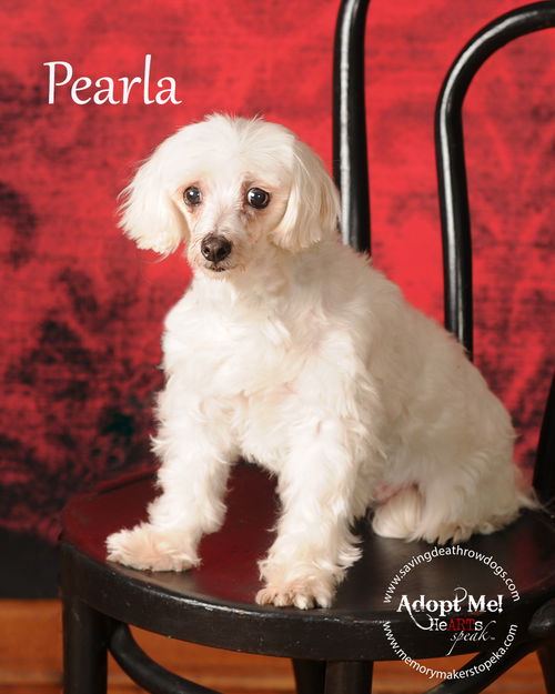 Pearla