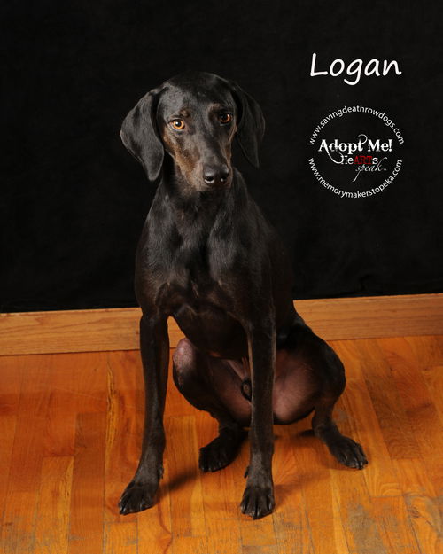 Logan