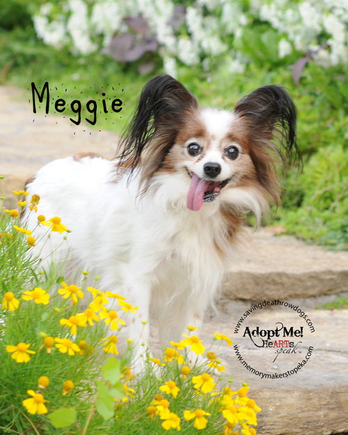 Meggie