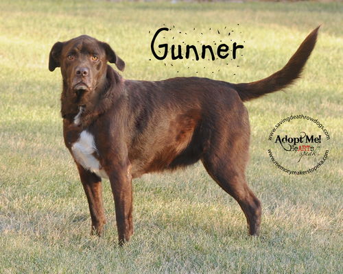 Gunner