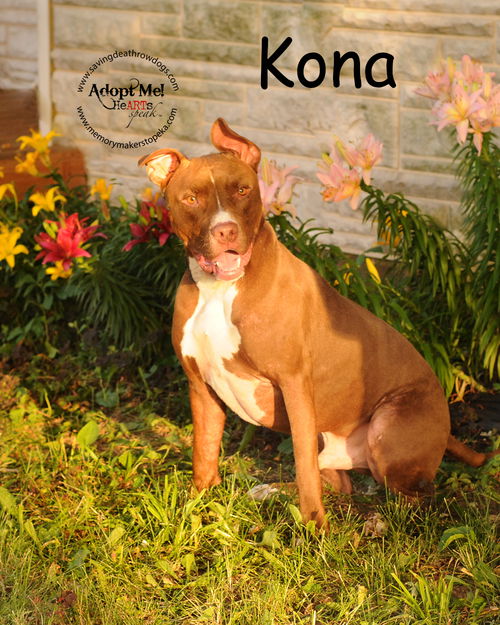 Kona