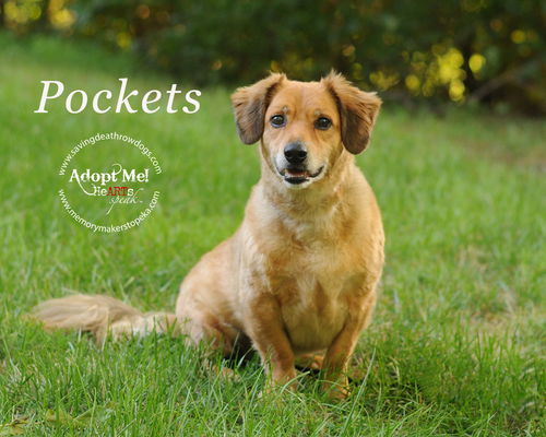 Pockets