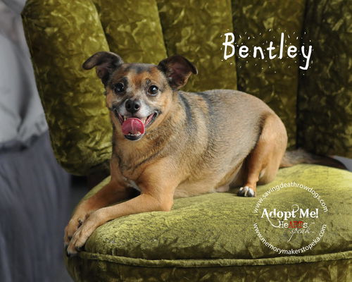 Bentley