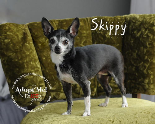 Skippy