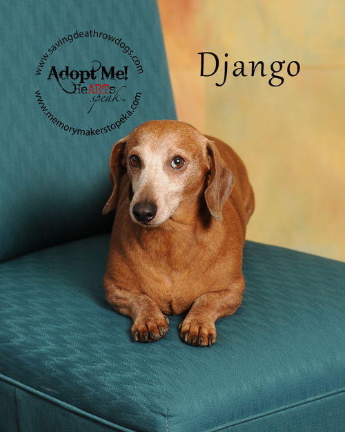 Django