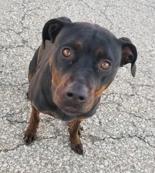 Bubba