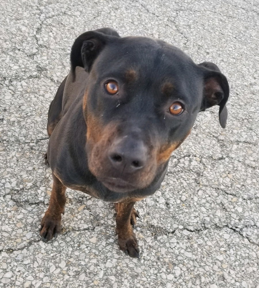 Bubba