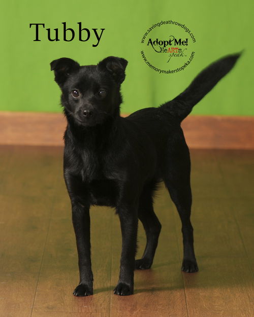 Tubby