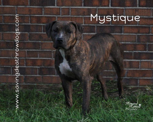 Mystique