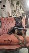 Ruby - Photo 1
