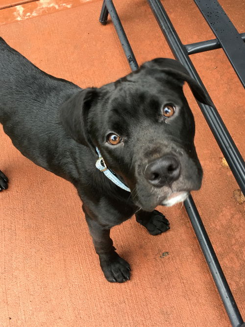 Tucker